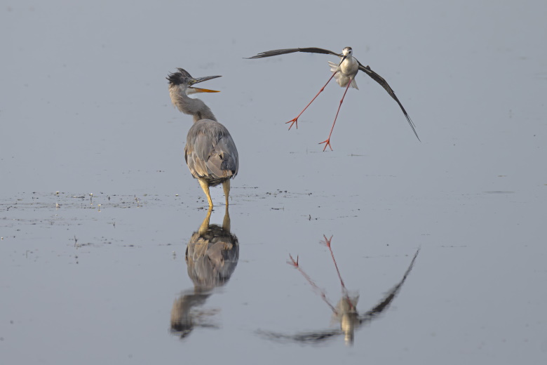 2e prix du jury et prix du public